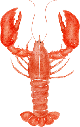 Lobster watercolor illustration